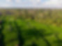 land use 4 - Copy.jpg