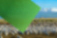 Israel's State of Climate Tech 2023