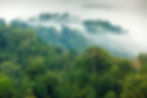 III_PLANETech_WorkFlow_062023_NaturTechCompetition_LandingPage_ForAnat_018.jpg