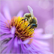 III_PLANETech_WorkFlow_062023_NaturTechCompetition_LandingPage_ForAnat_0111.jpg