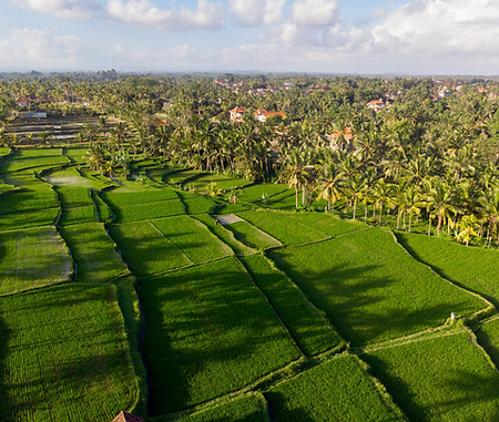 land use
