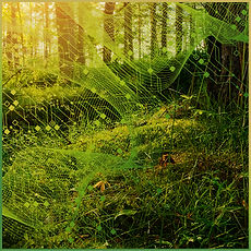 Tracks2_Track4.jpg