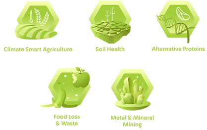 ALL_NEW-09.png