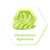 ClimateMonitoring_02-49-49-49.png